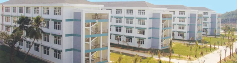 Hainan University