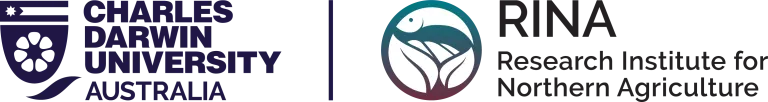 Rina logo