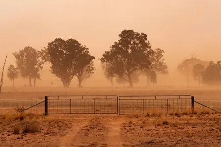 drought