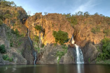 About 30% of Litchfield National Park could be infested with gabba grass in 10 years.