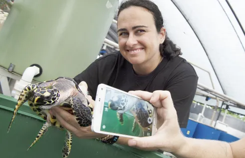 World Turtle Day